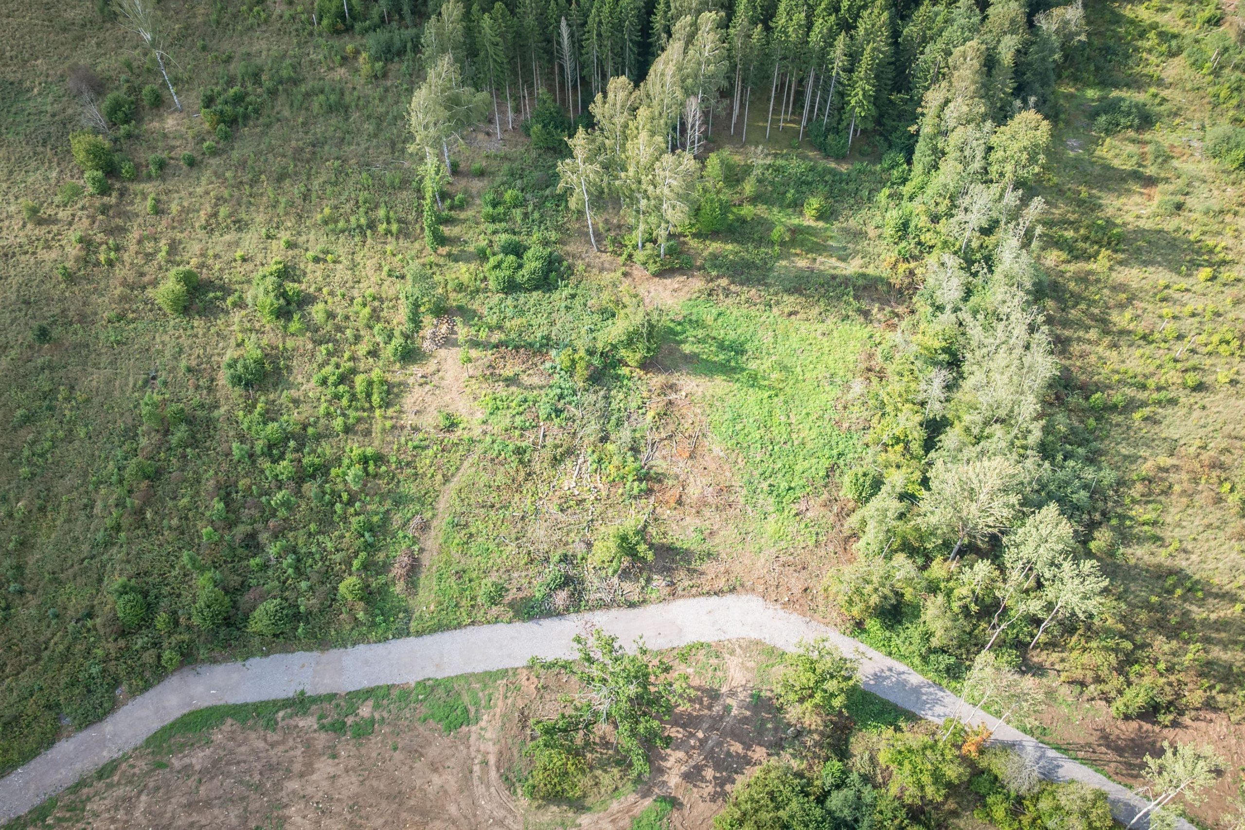 MED31CA8672BEA34451B15DED7738CD86CA-2820x1880